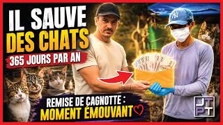 ✅ Ce thaïlandais sauve des chats 365 jours par an! Remise de cagnotte! #thaïlande #thailande #chat