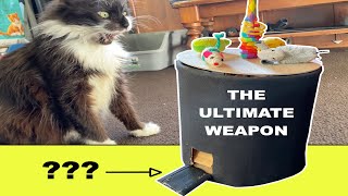 I Made The ULTIMATE Cat Toy (Never Bored Again) by E∞J Woodhouse Restorations 454 views 8 months ago 7 minutes, 43 seconds