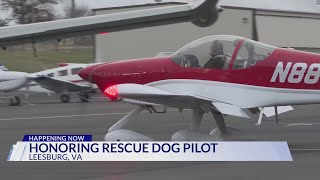Family of Virginia pilot who died transporting rescue animals receives dog's ashes