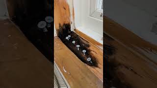 How I Repair a Rotted Windowsill With Abatron WoodEpox #restoration