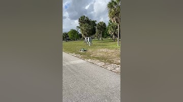 Losi 5t 2.0 ,obr signature series full mod