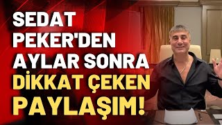 Suç örgütü lideri Sedat Peker, aylar sonra sosyal medyadan paylaşım yaptı!