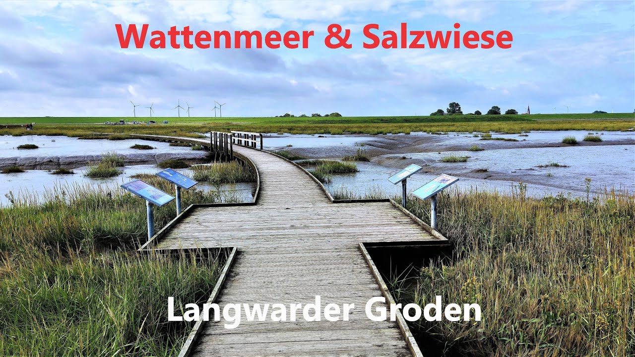 Langwarder Groden