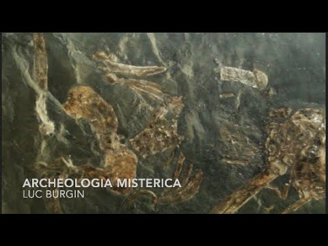 Archeologia misterica di Luc Burgin