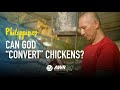 Can god convert chickens