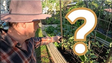 How to APPLY COMPOST to Existing Plants