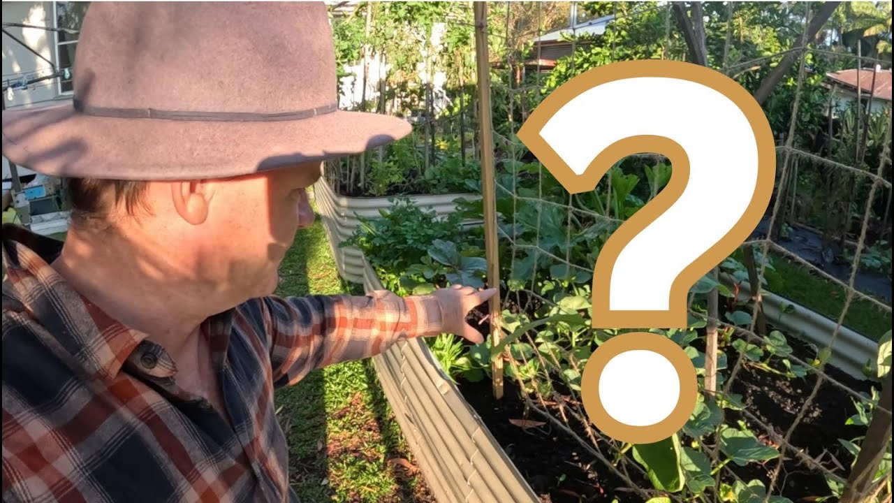 Как применять компост к существующим растениям