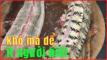 Rắn Chiên,Rắn Xào Sả Ớt Kiểu Này Không Lạ Nhưng Ít Người Nghĩ Ra | Không Tên 09.