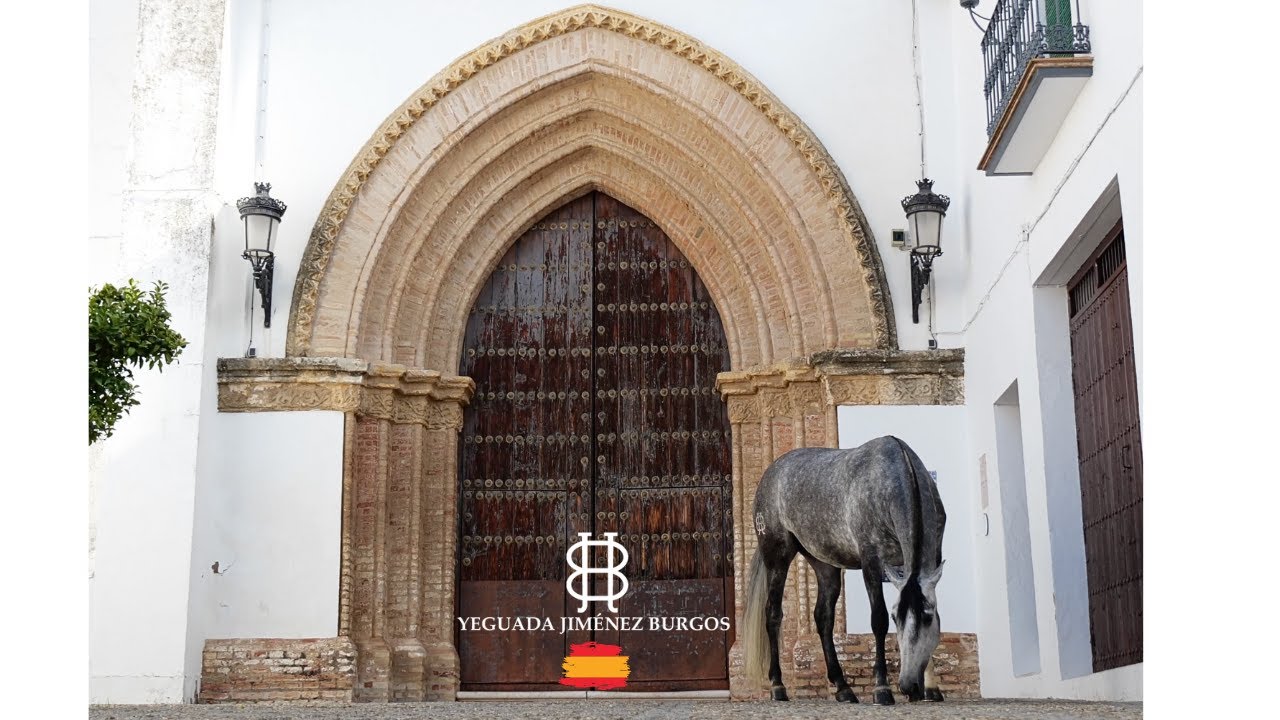 YEGUADA JIMENEZ BURGOS RODAJE EN CARMONA (ESPAÑA)