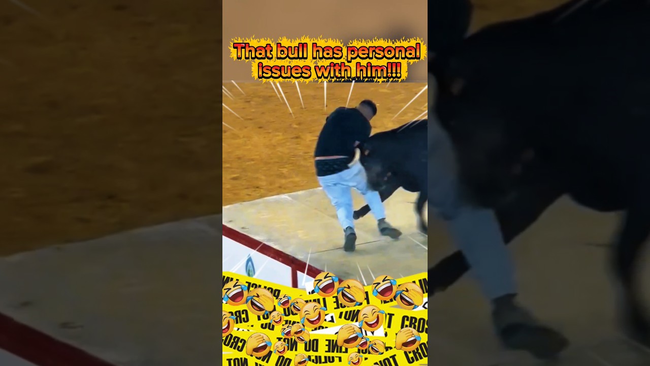 Bull Chasing Man Goes Hilariously Wrong 😂 