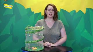 Insect Lore Caterpillar Refill -Releasing your Butterflies