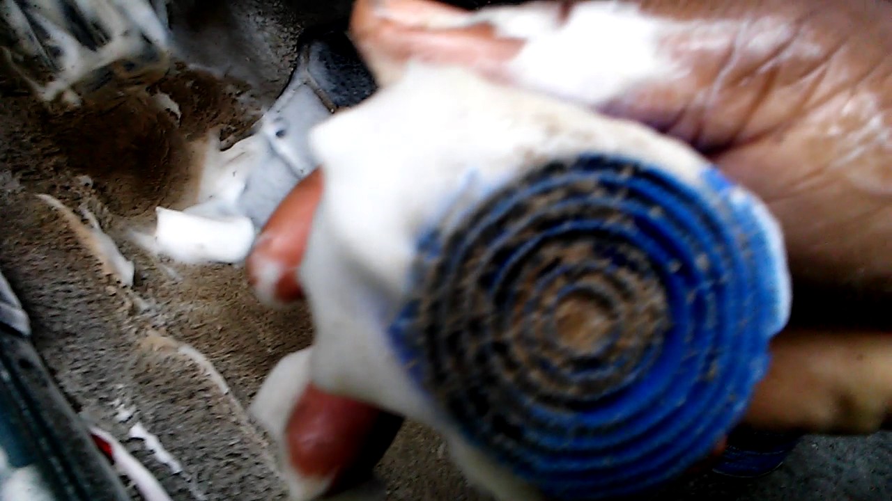 Blue coral upholstery cleaner test review YouTube