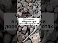 Что скрывалось под дорогой в Нарыне