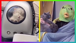 SUPER FUNNY ANIMALS 😻 Best Of The 2021 Funny Animal Videos 🐶 | Funny And Crazy Animals Compilation by Funny and Crazy Animals 33 views 2 years ago 2 minutes, 34 seconds