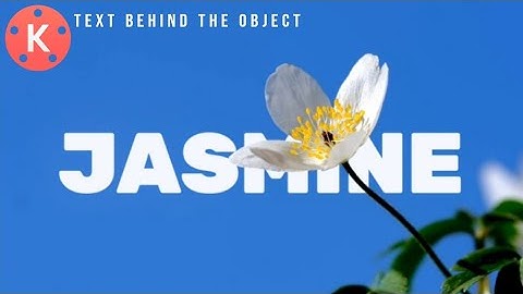 How to place text behind the object in kinemaster | KINEMASTER | @zohaibshahzad1137