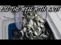 Every day of fishing starts with the bait  florida insider fishing report s20 e7