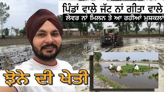 Jhone Di KHETIBADI Rice Farming ( ਝੋਨੇ ਦੀ ਖੇਤੀ ) Village Life In Punjab