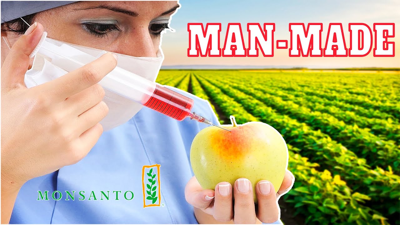 10 Shockingly Manmade Fruits, Nuts, and Vegetables YouTube