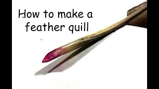 Feather Quill | How to make a quill pen from a feather | Writing with a feather quill