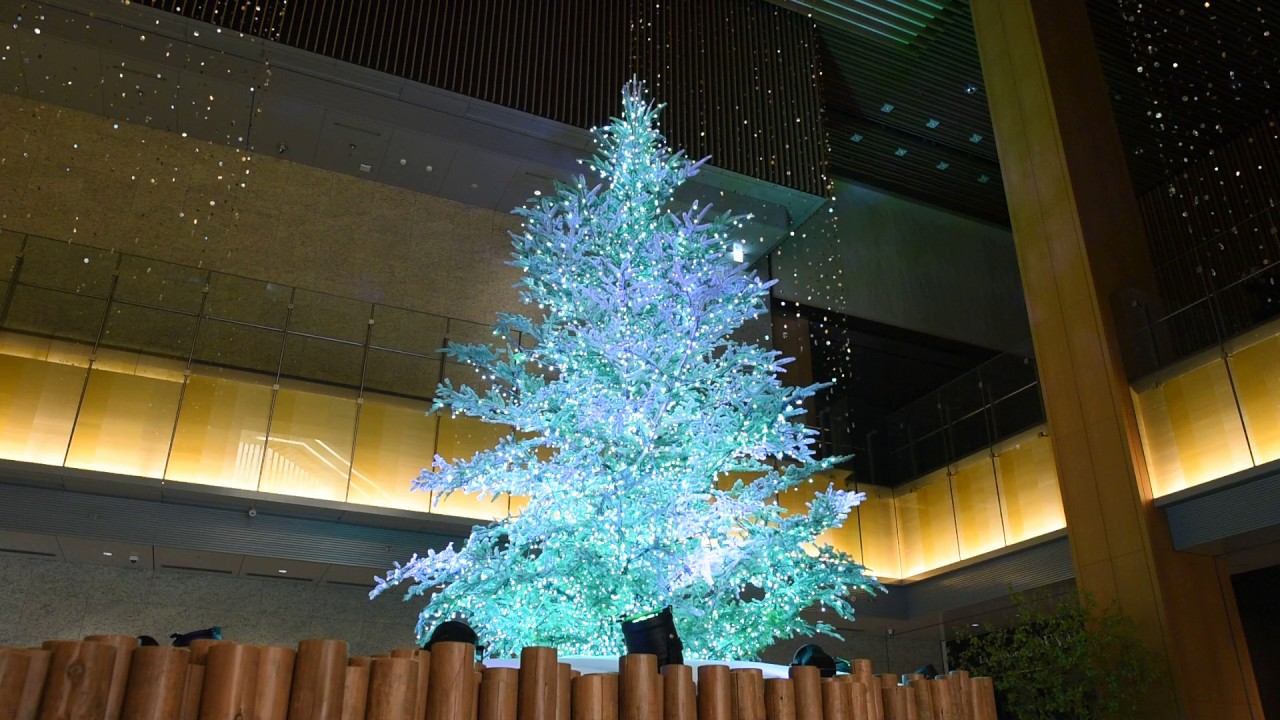 ｋｉｔｔｅ名古屋 星のクリスマス クリスマスツリーライトアッププログラム Youtube
