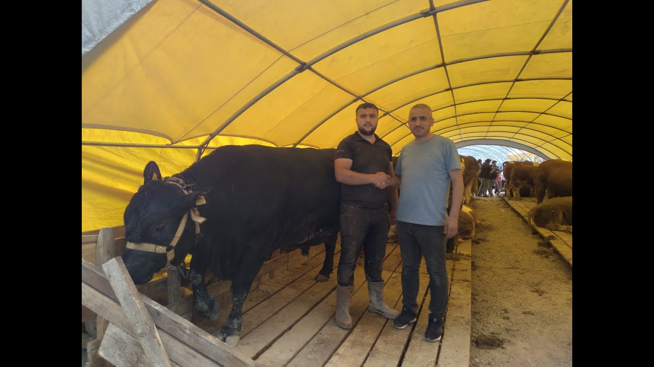 2023 DEVASA KURBANLIK PAZARLIĞI