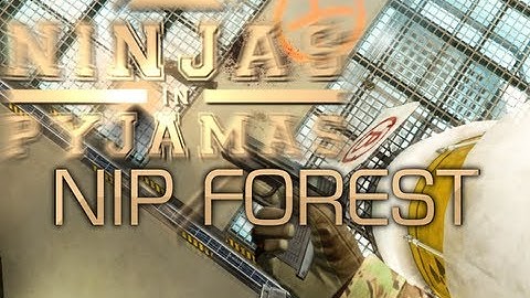 CS:GO - NiP f0rest vs Anexis (RaidCall EMS One Summer Cup #3)
