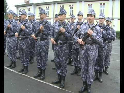 jurământ on- line dating hundeejere