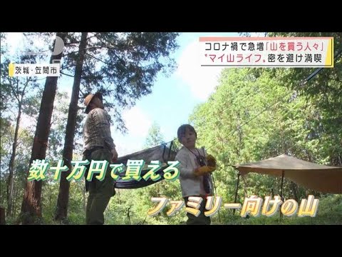 数十万円で“自分の山”を  コロナ禍の癒し求め