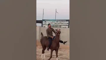 تقبرني عيونك 