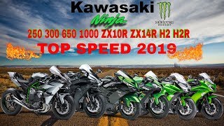 Kawasaki Ninja 250 300 650 1000 ZX10R ZX14R H2 H2R Top Speed 2019