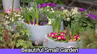 : Beautiful Small Backyard / Spring Cottage Garden / Garden Inspiration