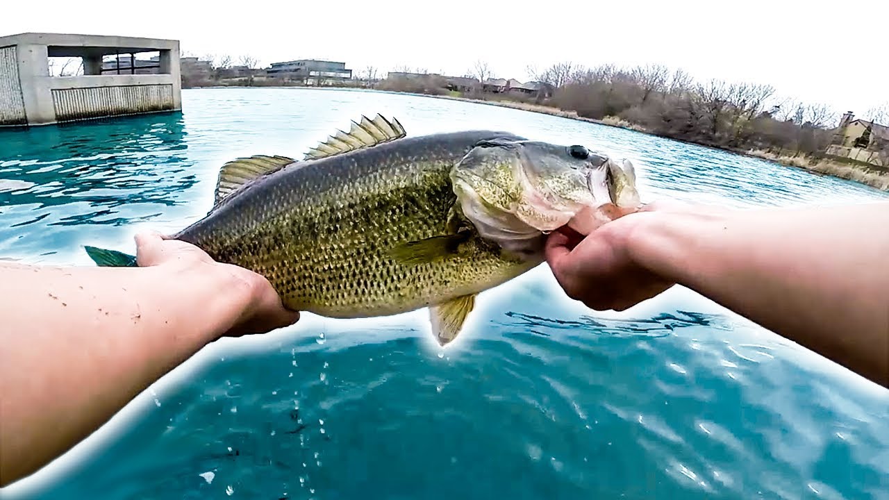 Fishing Inner City Ponds For BIG BASS w/ MinnDak Outdoors!