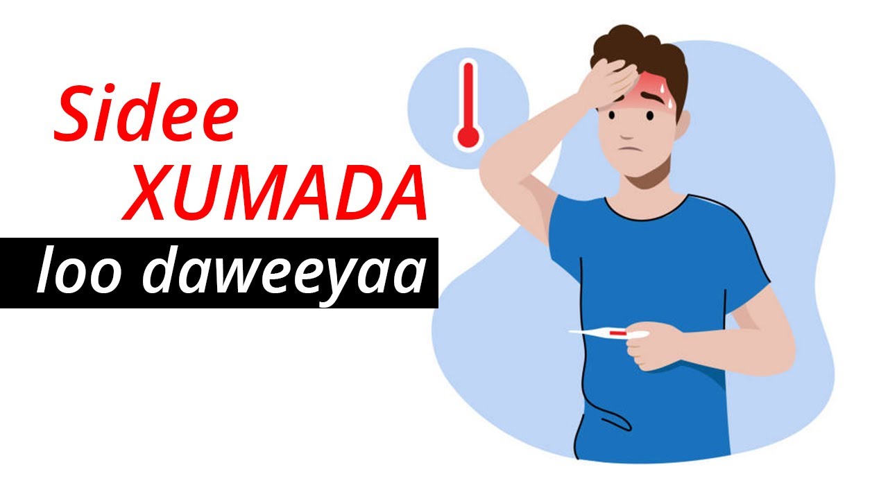 Iska dawee xumada dengue - Madax xanuun aad u daran oo ay keento dengue ...