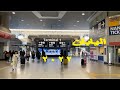 هل اليابان فتحت ابوابها للزائرين ؟السياحة في اليابان