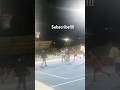 On the road to 1k subscribers 🤯#ballislife #park#shorts