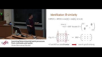 Victor-Emmanuel Brunel: Learning Determinantal point processes from moments and cycles