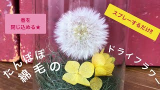たんぽぽの綿毛 のドライフラワーを作ったよ 簡単 綺麗 美しい 自然 可愛い Diy Dandelion Fluff Dried Flower Easy Tutorial 自然 646 Youtube たんぽぽの綿毛 のドライフラワーを作ったよ 簡単 綺麗 美しい 自然 可愛い Diy Dandelion Fluff Dried Flower Easy Tutorial 自然 646 Youtube