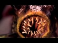 John Dies at the End - Trailer