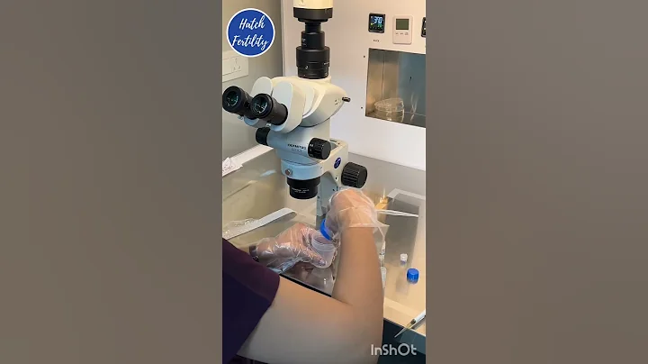 Live IUI sample preparation