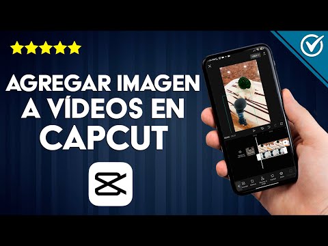 ¿Cómo agregarle imágenes a los videos en CAPCUT fácilmente? - Edición rápida