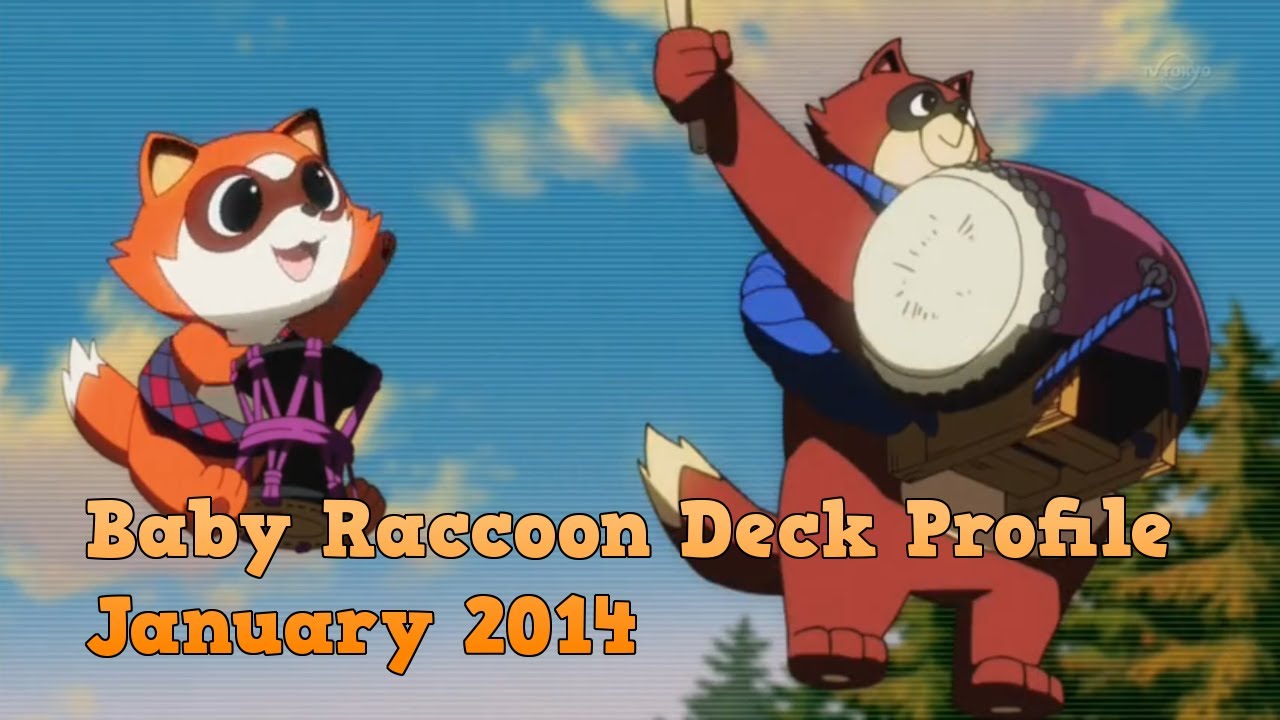 yugioh racoon deck (YGOPRO)Raccoon deck,Catnip Li Hua,Mad Hacker,Battle of Chaos,Number 64: Ronin Raccoon Sandayu may be 1st or Unlimited Edition *YuGiOh* Top 8 Locals Baby