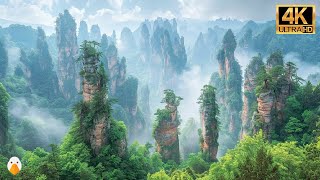 Wulingyuan, Zhangjiajie, Hunan🇨🇳 Самые невероятные чудеса Китая (4K HDR)