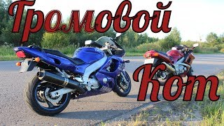 Обзор мотоцикла YAMAHA YZF600R Thunderkat. Как выбрать мотоцикл? Выбор мотоцикла для новичка