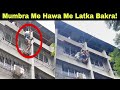 मुंब्रा अलमास कॉलोनी की सोफी बिल्डिंग से लटका बकरा वीडियो हुआ वायरल. | MUMBAI TV |