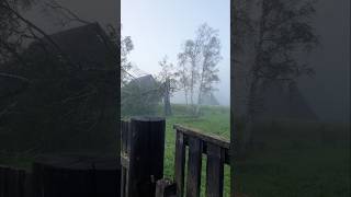 #тюнгур #горныйалтай #горыалтая #походвгоры #поход #nature