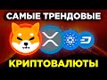 ВСЕ ЖДУТ ВЗРЫВ ЭТИХ КРИПТОВАЛЮТ! ЛУЧШИЕ ИНВЕСТИЦИИ В КРИПТОВАЛЮТУ ОСЕНЬ 2021?