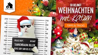 🔥 How to: Weihnachten mit Katzen, Gefahren, Tipps und Tricks, Katze klettert Tannenbaum hoch? by Schlitzohr - Haustierkanal 4,001 views 1 year ago 12 minutes, 53 seconds