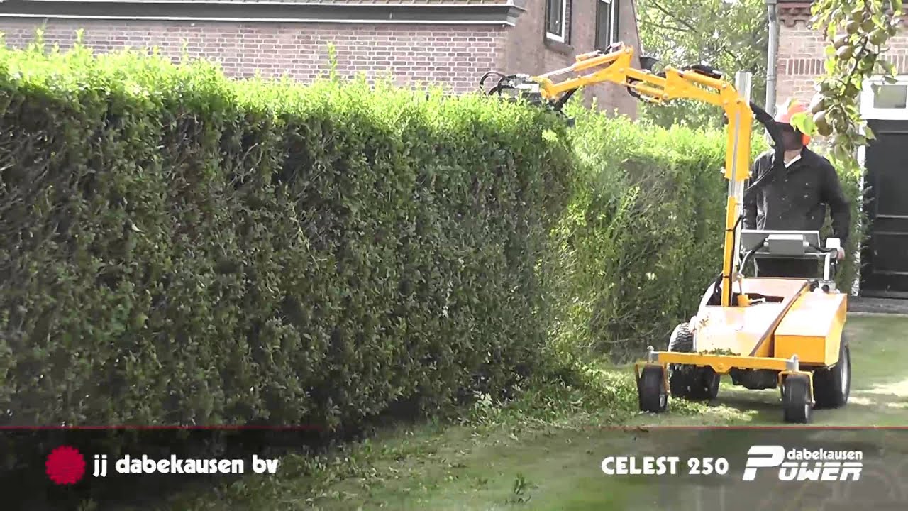 Dabekausen POWER Celest hagensnoeier / Heckenschneider