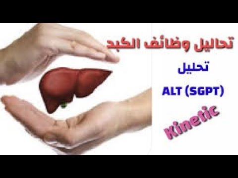 ALT (SGPT) الطريقة العملية لتحليل انزيم الكبد  بطريقة سهلة جدا  وماهو وما فائدته ومتى يرتفع مستواه