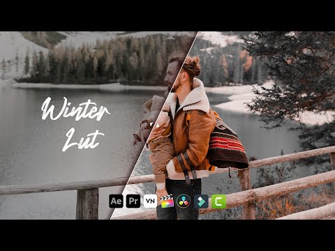 Winter Free Lut